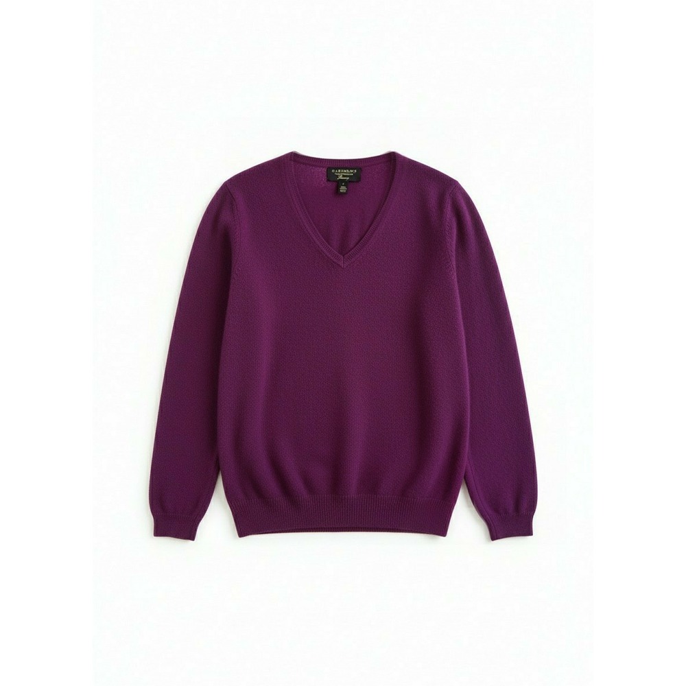 Charter Club Luxury Cashmere V-Neck Sweater Purple Long Sleeve Size L
